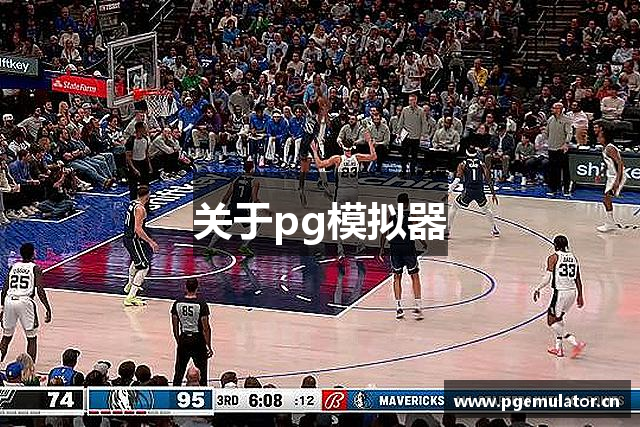 关于pg模拟器